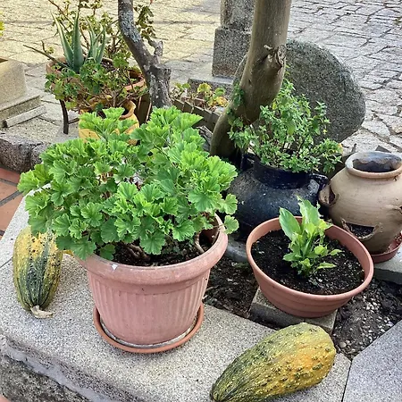 Atico Con Terraza *