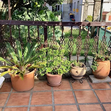 Apartamento Atico Con Terraza *