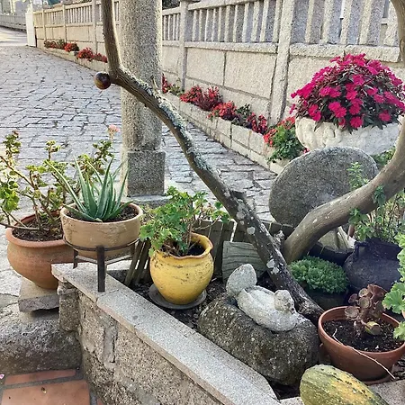 Apartamento Atico Con Terraza