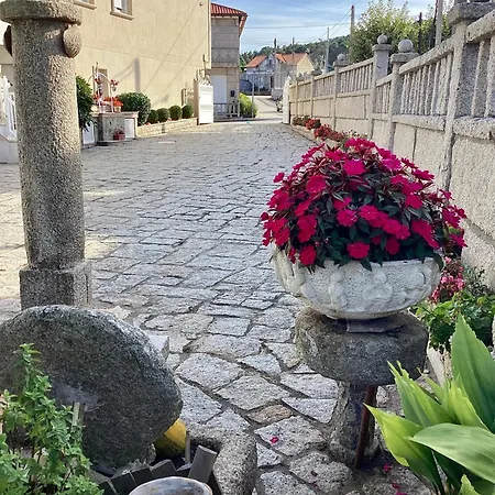 Atico Con Terraza Apartamento *